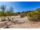 Sandy, desert landscape featuring small trees and sparse foliage, framed by a mountainous backdrop at 11827 S Montezuma Ct, Phoenix, AZ 85044