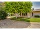 Inviting outdoor area featuring a lush green lawn, shade tree, and a charming stone pathway at 12548 W Parkwood Dr, Sun City West, AZ 85375