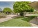 Expansive yard showcases lush green grass, trees, decorative rocks, and charming landscape lighting at 12548 W Parkwood Dr, Sun City West, AZ 85375