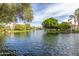 A view of waterfront properties across the shimmering lake and lush landscaping, evoking a sense of community at 1833 W Mead Pl, Chandler, AZ 85248