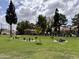 Expansive grassy park area features picnic tables, barbecues, and mature trees for outdoor enjoyment at 18820 N 34Th Ln # 1, Phoenix, AZ 85027