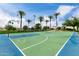 A full basketball court surrounded by palm trees is perfect for sports enthusiasts at 2131 E New Bedford Dr, Gilbert, AZ 85234