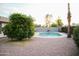 Backyard showcasing a refreshing pool, lush green trees and desert landscaping at 2738 E Libby St, Phoenix, AZ 85032