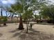View of the backyard with desert landscaping, trees, artificial turf, and a decorative block fence at 665 W Beechnut Dr, Chandler, AZ 85248
