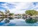 Community waterfront view showcasing a serene canal and lush landscaping on a sunny day at 665 W Beechnut Dr, Chandler, AZ 85248