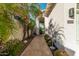 Pathway to the house with landscaping at 7538 E Tuckey Ln, Scottsdale, AZ 85250