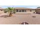 Expansive backyard featuring a desert landscape, large palm tree, and charming decor at 8315 E Lobo Ave, Mesa, AZ 85209