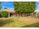 Expansive backyard featuring a covered patio and mature trees, ideal for relaxation and outdoor enjoyment at 851 N Citrus Cove --, Mesa, AZ 85213