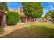 Lush backyard features mature trees, a covered patio and plenty of room for outdoor activities at 851 N Citrus Cove --, Mesa, AZ 85213