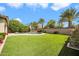 Lush backyard with green grass, a sparkling pool, palm trees, and a tranquil ambiance for outdoor enjoyment at 10749 E Nido Ave, Mesa, AZ 85209