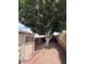View of the fenced backyard with a large, mature tree and shed at 2533 W Rose Ln # A8, Phoenix, AZ 85017