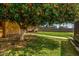 Backyard featuring a fruit tree, manicured lawn and walkway, offering a serene outdoor escape at 1143 E 7Th St, Mesa, AZ 85203