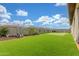 Expansive backyard with lush artificial turf, putting green, and landscaped garden beds, perfect for outdoor enjoyment at 1303 W Cherrywood Dr, Queen Creek, AZ 85140