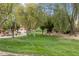 Lush green space with mature trees and a meandering path, perfect for outdoor enjoyment at 16158 W Christy Dr, Surprise, AZ 85379