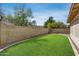 Expansive backyard with lush green lawn, mature trees, and a tall block fence for added privacy at 17500 N 85Th Dr, Peoria, AZ 85382