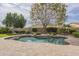 Inviting backyard pool featuring stone coping and a mature shade tree at 2949 E Athena Ave, Gilbert, AZ 85297