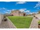 Expansive backyard with lush green lawn, providing plenty of space for recreation and outdoor activities at 30878 W Picadilly Rd, Buckeye, AZ 85396