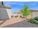 A backyard with desert landscaping and a block wall, along with a green tree at 3504 E Pinto Dr, Gilbert, AZ 85296