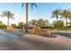 Welcoming entrance to the Andorra community, showcased by palm trees and professional landscaping at 3683 E Nolan Dr, Chandler, AZ 85249