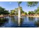 Picturesque pond featuring a fountain and mature trees, providing a tranquil community setting at 3683 E Nolan Dr, Chandler, AZ 85249