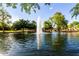 Scenic view of a community pond with a fountain, surrounded by lush green trees and landscaping at 3683 E Nolan Dr, Chandler, AZ 85249