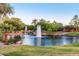 Scenic community pond with a tiered fountain and bridge, offering a peaceful and inviting atmosphere at 3683 E Nolan Dr, Chandler, AZ 85249