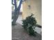 Side yard landscaping featuring gravel and a mature tree with stone accents at 4242 N 27Th St # 2, Phoenix, AZ 85016