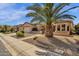 Charming single-story home featuring manicured landscaping, desert rock, and a welcoming facade with a palm tree at 4249 E Nightingale Ln, Gilbert, AZ 85298