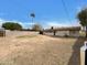 Large backyard featuring desert landscaping and views of mature palm trees at 492 W 17Th Ave, Apache Junction, AZ 85120