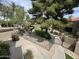 Landscaped backyard featuring a private patio, mature trees, and manicured lawn at 4925 E Desert Cove Ave # 236, Scottsdale, AZ 85254