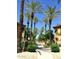 Scenic view of a community pool area lined with tall palm trees under a clear blue sky at 4925 E Desert Cove Ave # 236, Scottsdale, AZ 85254