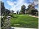 Lush backyard with vibrant greenery, manicured lawn, and mature trees providing a private and tranquil setting at 5960 E Orange Blossom Ln, Phoenix, AZ 85018