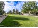 Beautiful green common backyard area with mature shade trees and grassy lawn for activities at 5960 E Orange Blossom Ln, Phoenix, AZ 85018