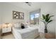 Bright bedroom with neutral decor, a decorative plant and a view of the backyard at 6522 E Night Glow Cir, Scottsdale, AZ 85266