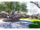 Landscaped community entrance with a stone wall, flowering trees, grassy areas, and sidewalks at 690 W Mangrove Rd, Queen Creek, AZ 85140