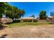 Large backyard featuring a mature shade tree, ample space for recreation, and privacy fencing at 844 W Sherri Dr, Gilbert, AZ 85233