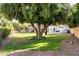 A large shade tree anchors this yard, with a glimpse of the patio and second story balcony in the background at 844 W Sherri Dr, Gilbert, AZ 85233