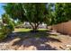 Backyard featuring a mature shade tree with a tire swing, access to the pool, and plenty of space to entertain at 844 W Sherri Dr, Gilbert, AZ 85233