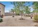 Large backyard area boasting trees and gravel for a well maintained aesthetic at 9364 W Cordes Rd, Tolleson, AZ 85353