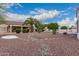 An open backyard with desert landscaping, including a palm tree and a decorative rock feature at 20301 N Queen Palm Ln, Surprise, AZ 85374