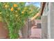 Side yard with blooming tree, gravel, air conditioner and metal side gate at 20583 N Ryans Trl, Maricopa, AZ 85138