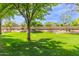 Expansive backyard with lush lawn, mature trees, and automatic sprinklers for easy maintenance at 2476 E Marlene Dr, Gilbert, AZ 85296