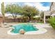Backyard oasis features a uniquely shaped pool with desert landscaping, lounge chairs and mature trees at 6916 E Trailridge Cir, Mesa, AZ 85207