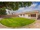 Lush green backyard with covered patio and block wall fence at 7839 E Osage Ave, Mesa, AZ 85212
