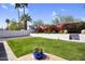 Expansive backyard with manicured lawn, privacy wall, and colorful landscaping at 9760 E San Salvador Dr, Scottsdale, AZ 85258