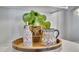 Artistic kitchen decor on a countertop with ceramic oil bottle and pitcher, along with green plants at 9760 E San Salvador Dr, Scottsdale, AZ 85258