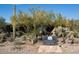 McDowell Center sign surrounded by desert vegetation and lush trees at 10219 E Le Marche Dr, Scottsdale, AZ 85255