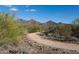 Scenic walking trail with mountain views and lush desert landscaping at 10219 E Le Marche Dr, Scottsdale, AZ 85255