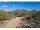 Scenic walking trail with mountain views and lush desert landscaping at 10219 E Le Marche Dr, Scottsdale, AZ 85255