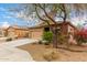 Single-story home with a two-car garage and desert landscaping with a beautiful tree in the front yard at 10835 W Saddlehorn Rd, Peoria, AZ 85383